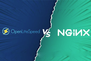 OpenLiteSpeed和Nginx选哪个好？OpenLiteSpeed和Nginx区别对比