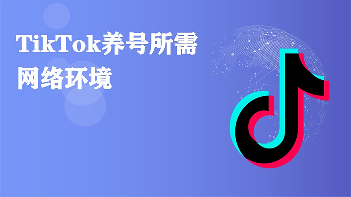 tiktok养号节点要什么条件，多少钱