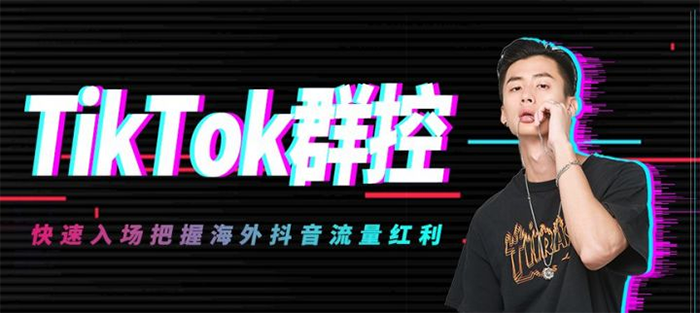 TikTok群控背后的关键——站群服务器的选择