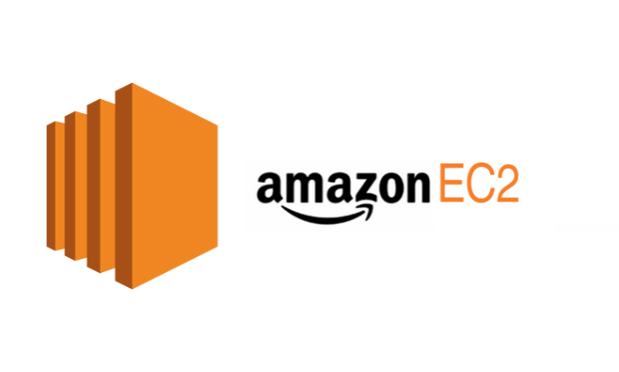 AWS ECS中的动态IP分配与应用