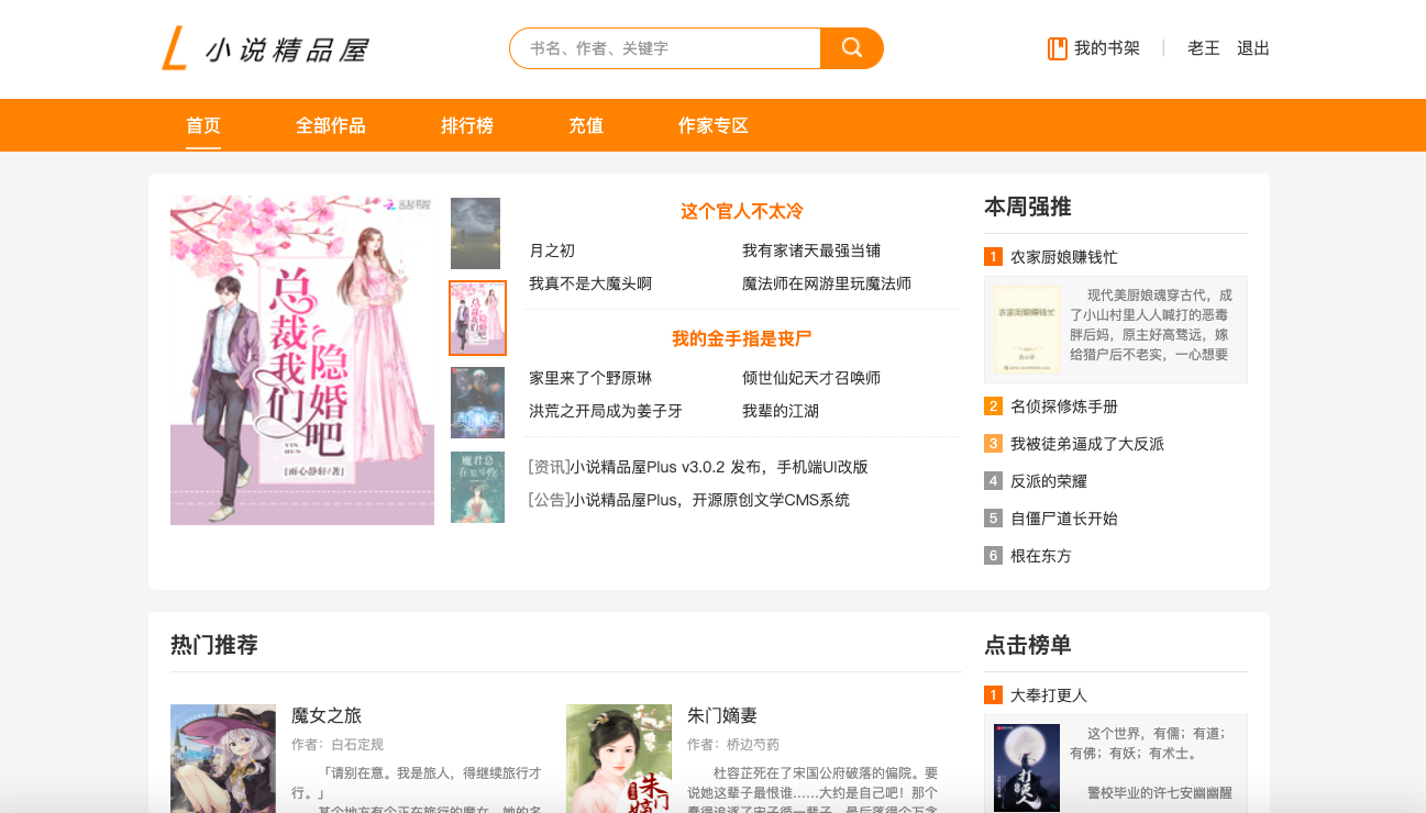 如何为您的小说网站选择合适的云服务器